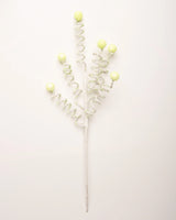 29" Green Candy Stripe Curl Ball Spray