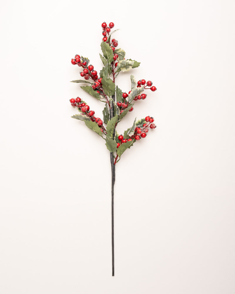 25" Red Frosted Berry Holly Leaf