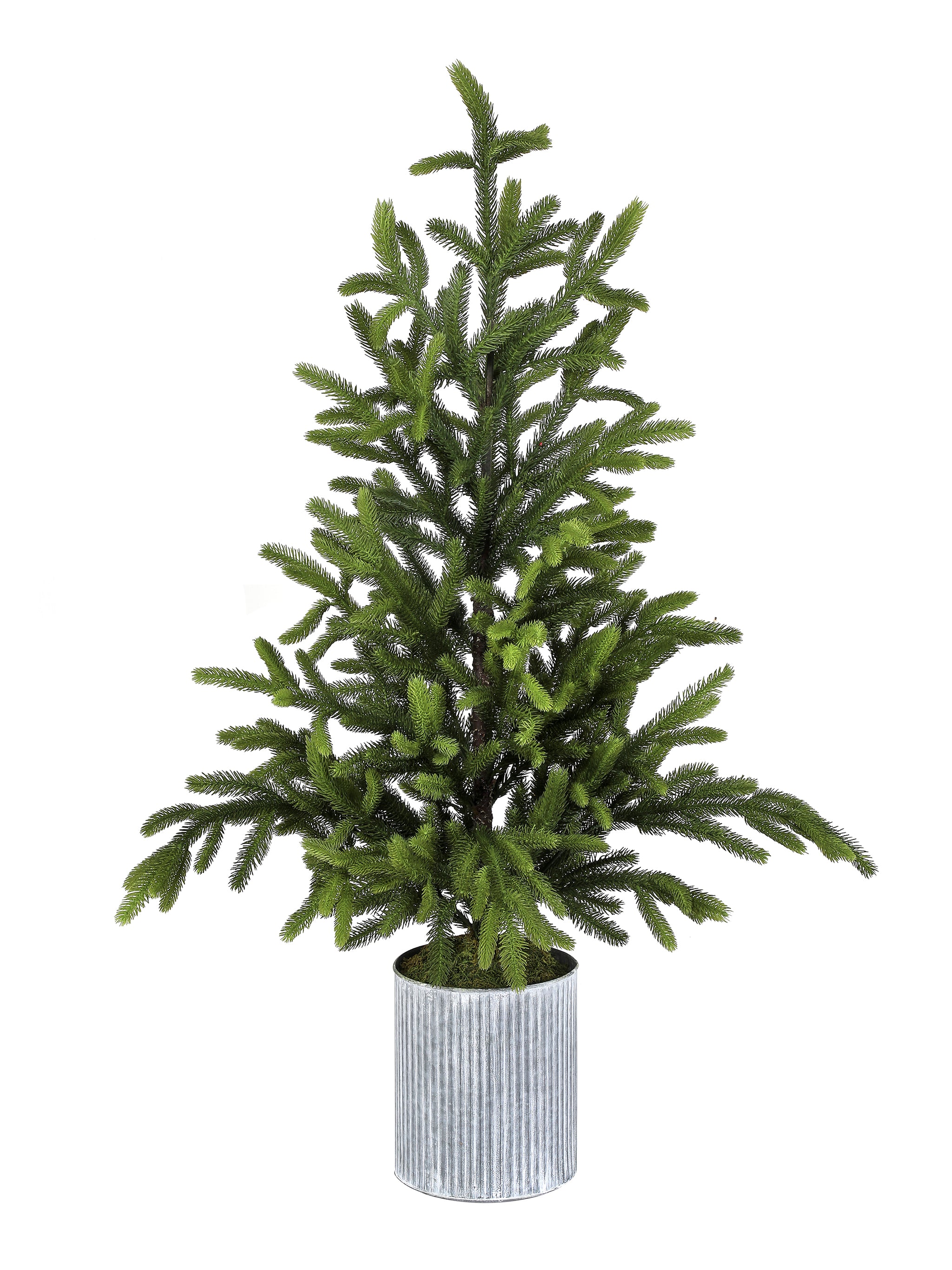 Natural Touch Potted Norway Spruce Tree