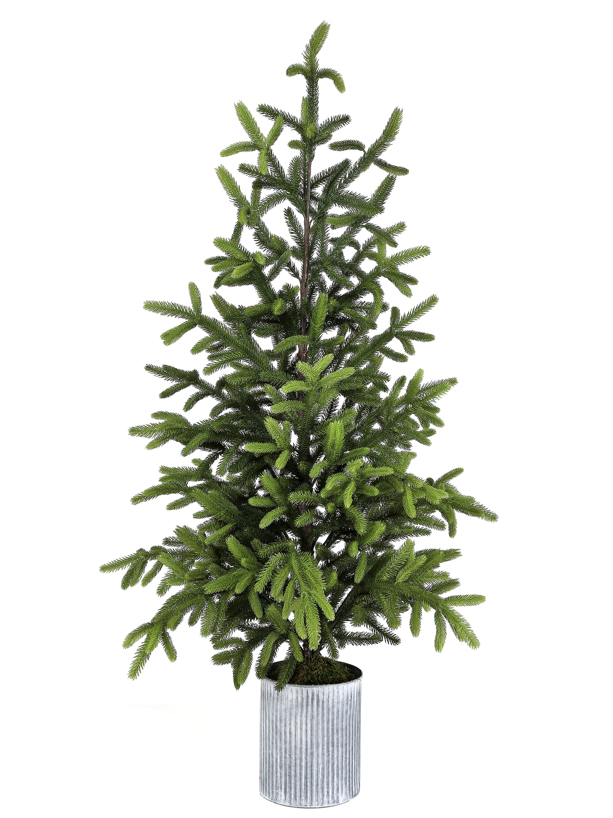 Natural Touch Potted Norway Spruce Tree