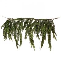 40" X 27" Norfolk Dripping Garland