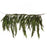40" X 27" Norfolk Dripping Garland