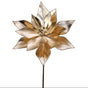 24" Champagne Poinsettia With Jingle Bells