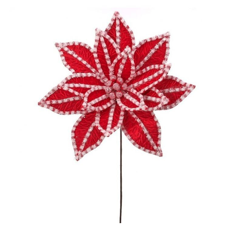 30" Giant Candy Poinsettia Stem
