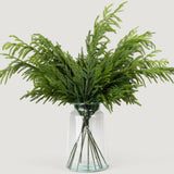 36" Forest Norfolk Pine Spray