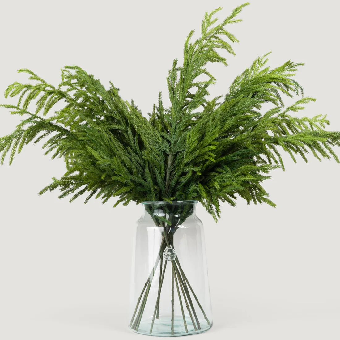 36" Forest Norfolk Pine Spray