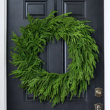 48" Forest Norfolk Pine Wreath