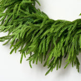 48" Forest Norfolk Pine Wreath