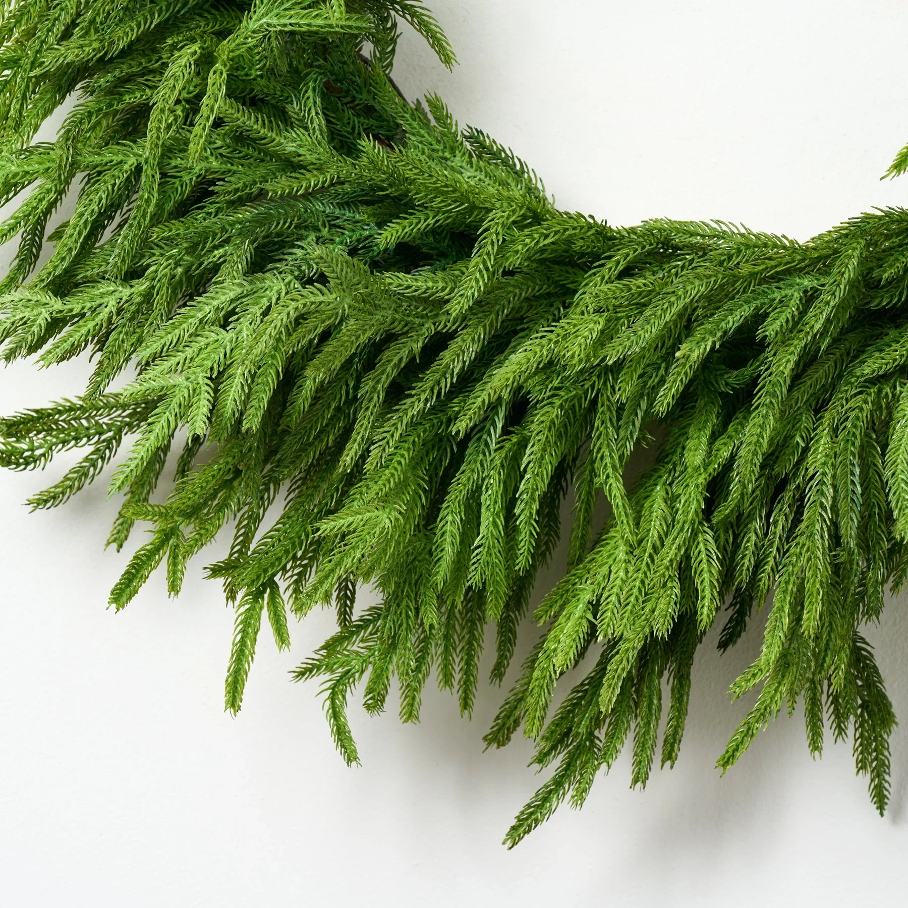 48" Forest Norfolk Pine Wreath