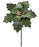 22" Green Poinsettia Stem