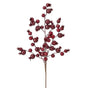17" Burgundy Berry Ridge Pick