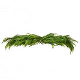 4 FT Cedar Norfolk Pine Swag