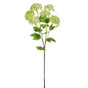 24" Iced Green Snowball Hydrangea Stem