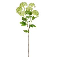 24" Iced Green Snowball Hydrangea Stem