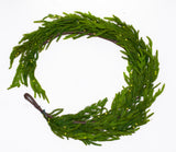5 FT Norfolk Garland Pre-Lit 80LED Battery Operated
