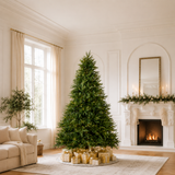 Kentucky Fir Tree Pre Lit Warm White LED Lights