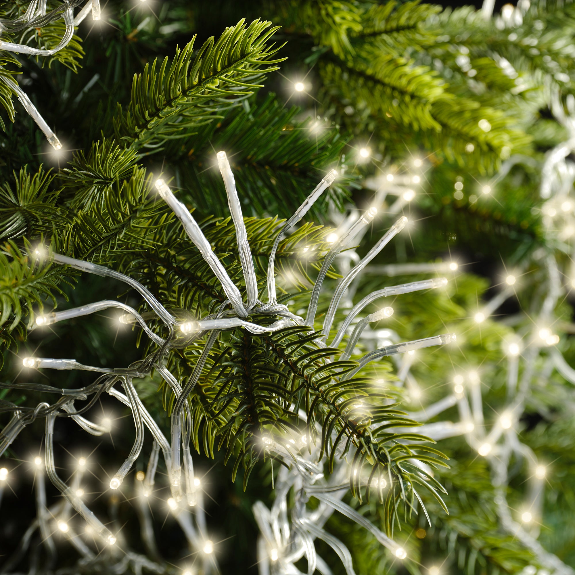 23 FT 768 LED Warm White Cluster Lights With Transparent Wire