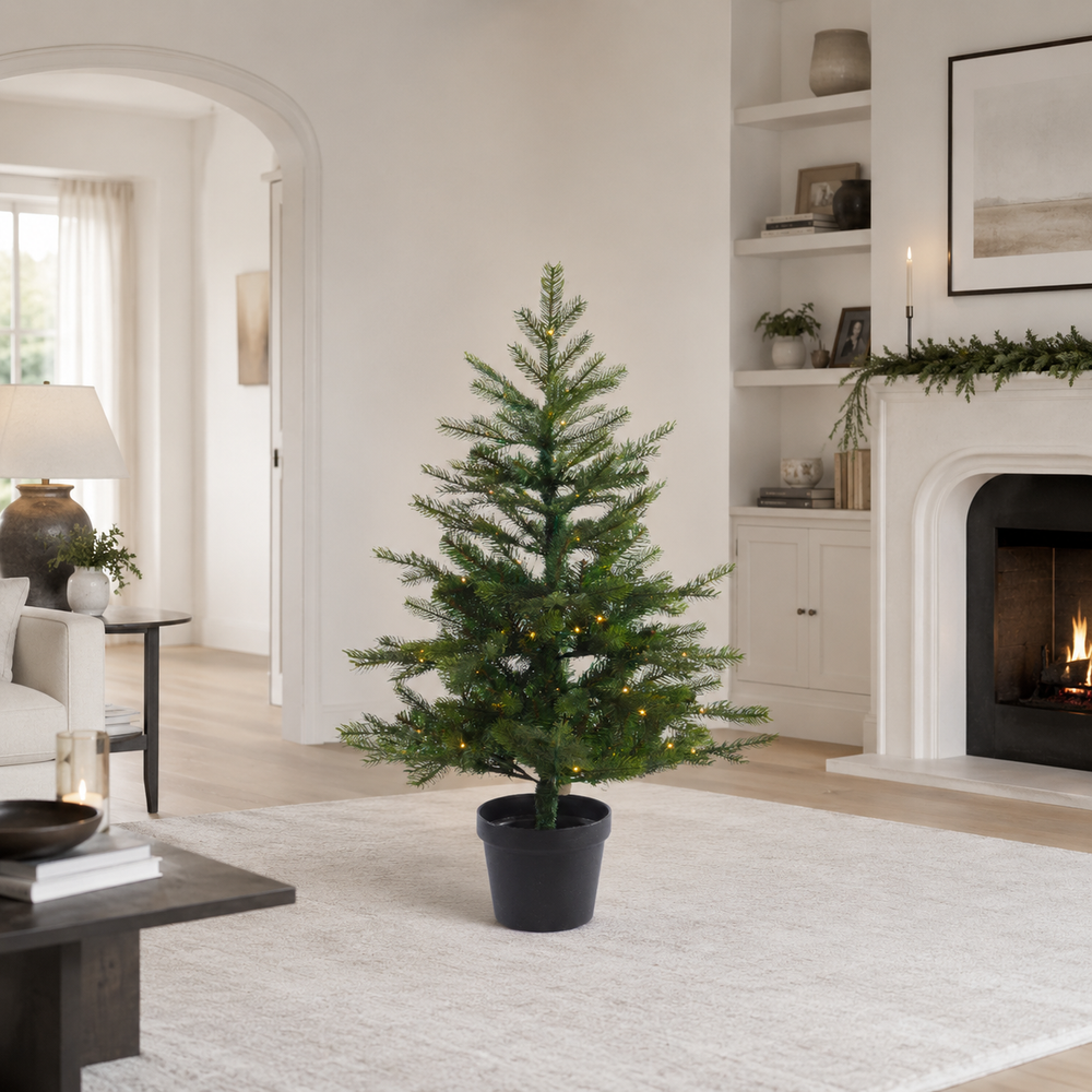3 FT Grandis Fir Tree Pre Lit Battery Operated