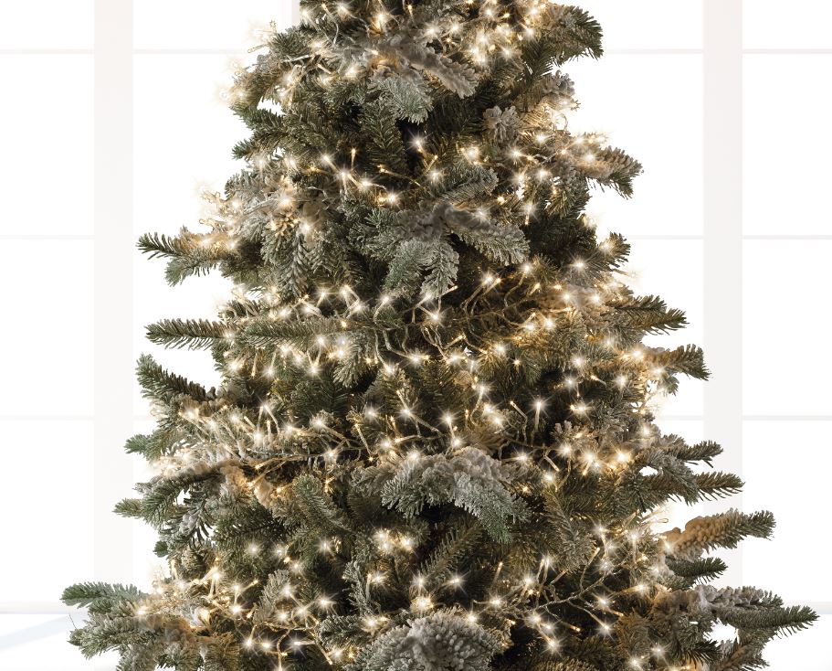 44 FT Cluster 1512 LED Warm White Trasnsparent Wire