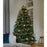 30 FT 120 LED Warm White Cherry Lights With Black Wire