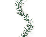 16 FT Cluster Starter Set Warm White With 1 String Of 500 LED Lights