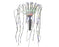 Multicolor LED Cascade Light With 5 Flow Speed
