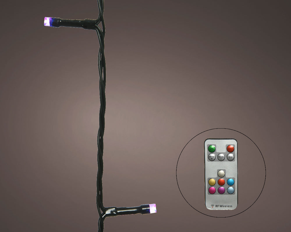 33 FT 100 LED Dancing Warm White & Color Changing Green Wire With Remote Control