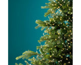 8 FT Warm White & Classic White Bunch 832 Micro LED Lights With Gold Wire