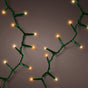 53 FT Compact 750 LED Classic Warm & Warm White Green Wire