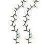 36 FT 500 LED Soft Warm Compact Lights With Green Wire