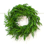 30" Norfolk Wreath Pre-Lit 150LED Battery Operated