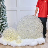 1.6 FT 100 LED Warm White Silver Ball