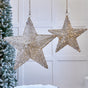 1.8 FT 165 LED Warm White Gold Star