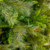 Deluxe Belgium Tree Unlit