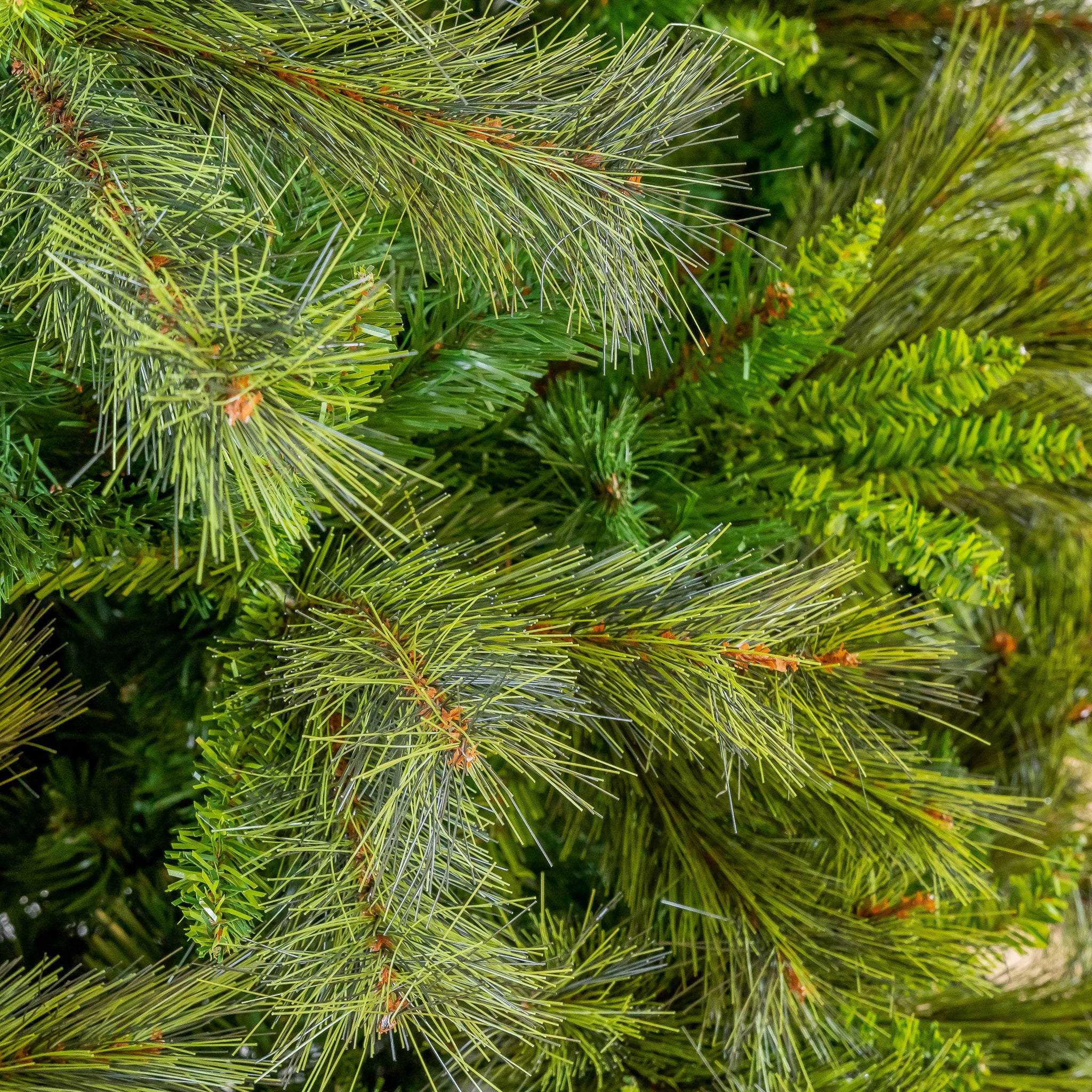 Deluxe Belgium Tree Unlit