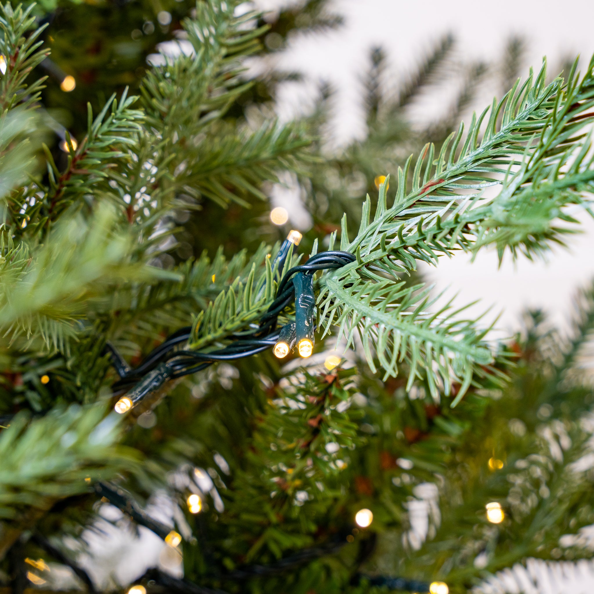 Newbury Pine Tree Pre-Lit Warm White LED Lights