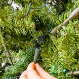 Newbury Pine Tree Pre-Lit Warm White LED Lights