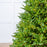Telluride Fir Slim Tree Pre-Lit Warm White LED Lights