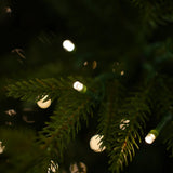 Norway Deluxe Tree Pre Lit Warm White LED Lights