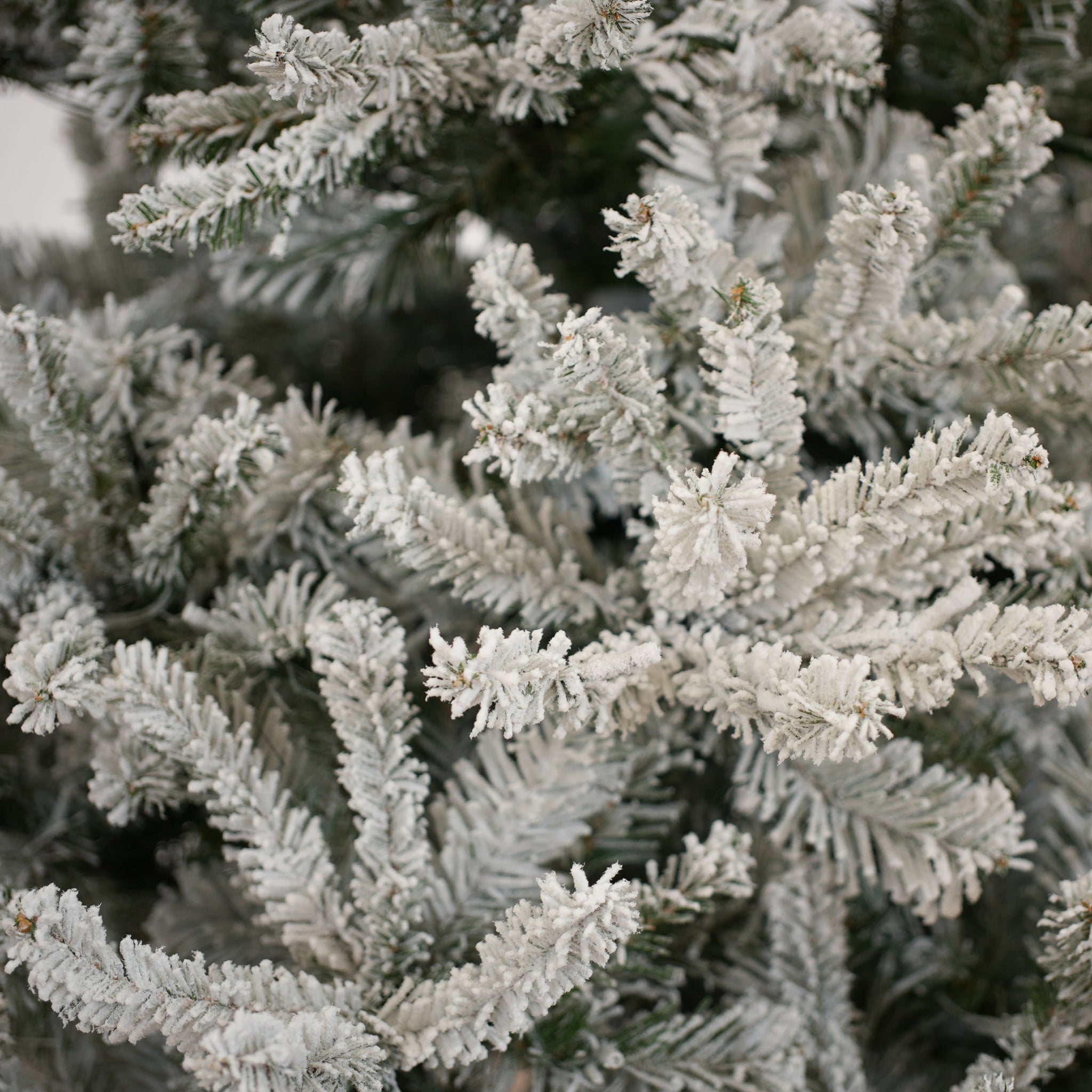 Duke Flocked Tree Unlit