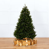 Mountain Spruce Tree Pre-Lit Warm White LED Lights