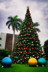 Olympia Tree Pre-Lit Warm White LED Lights