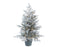 Frosted Grandis Tree