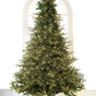 Newbury Pine Tree