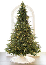 Newbury Pine Tree