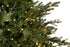 Newbury Pine Tree