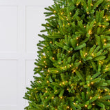 Royal Fir Tree Pre-Lit Warm White LED Lights